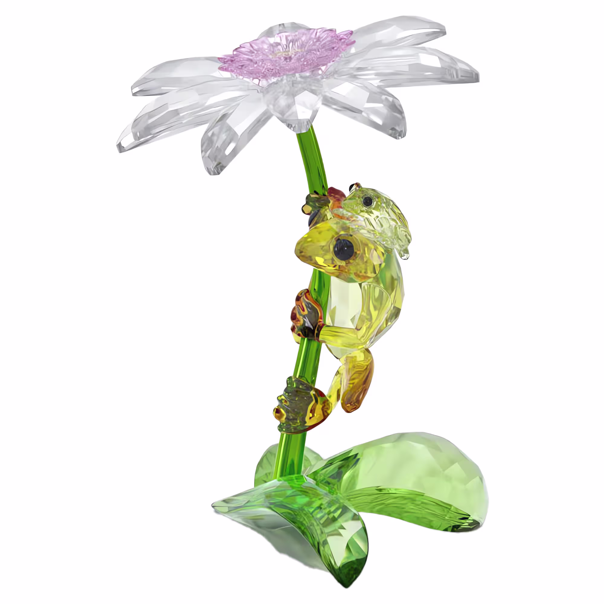 idyllia-frogs-and-flower-swarovski-5670892 (1)