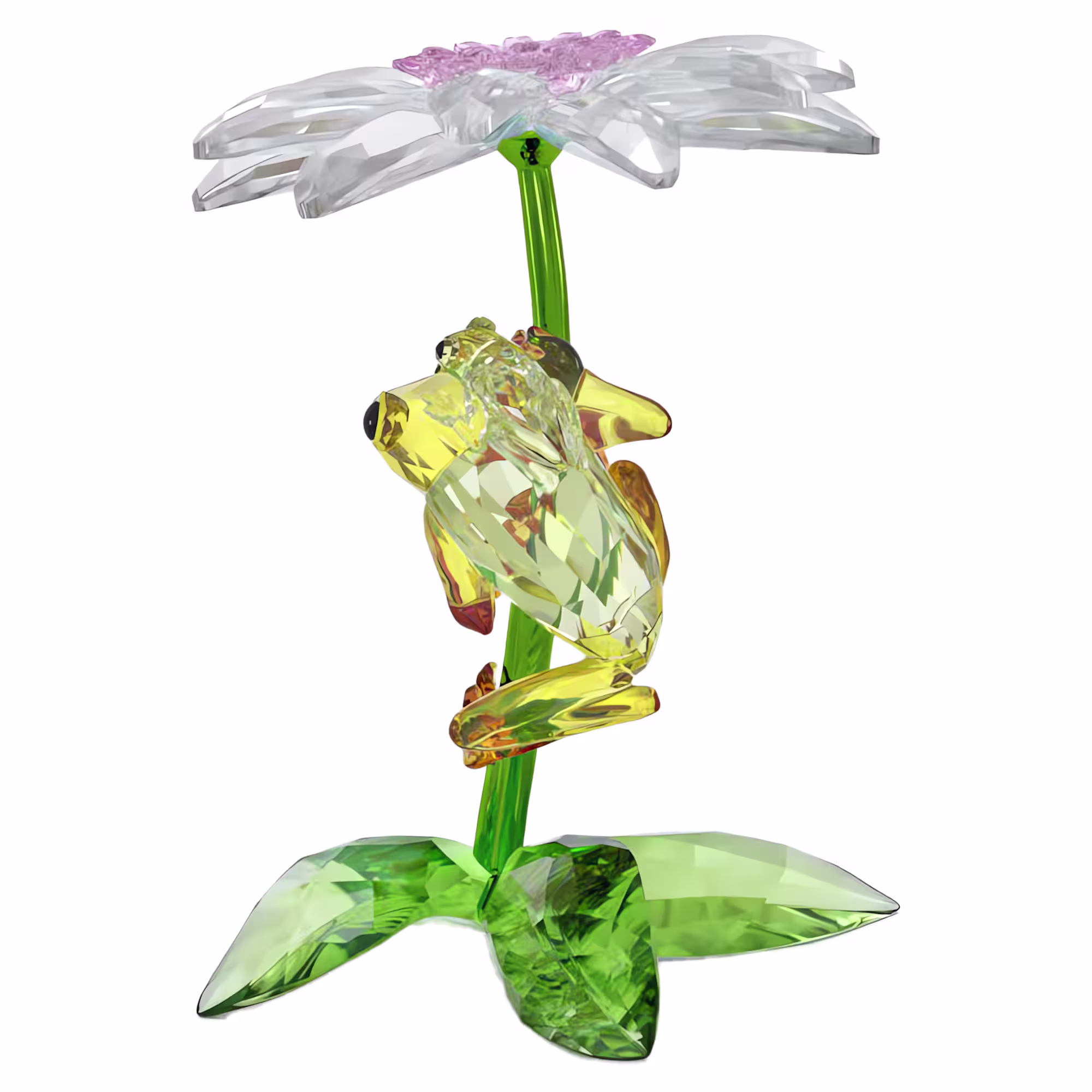 idyllia-frogs-and-flower-swarovski-5670892 (2)